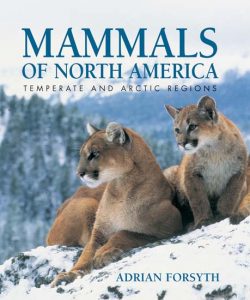 Unique Mammals of North America Image